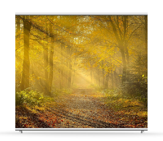 Trauerbanner XXL Quer "Sonnenlicht im Herbstwald"